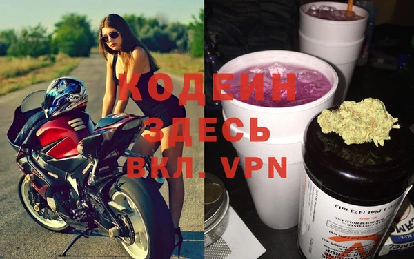 спиды Горняк
