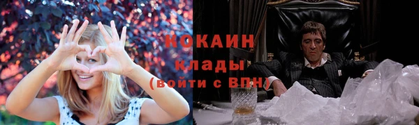 спиды Горняк