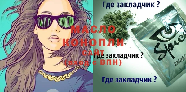 спиды Горняк