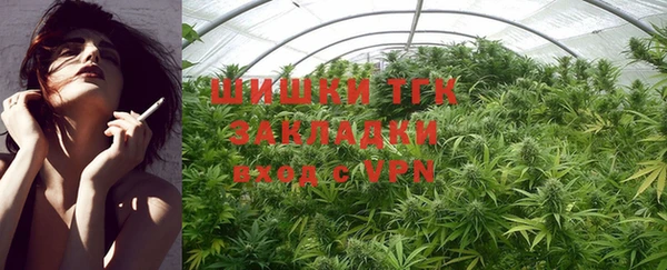 спиды Горняк